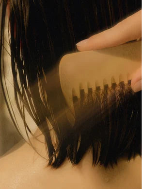 Coffret Renaissance Capillaire